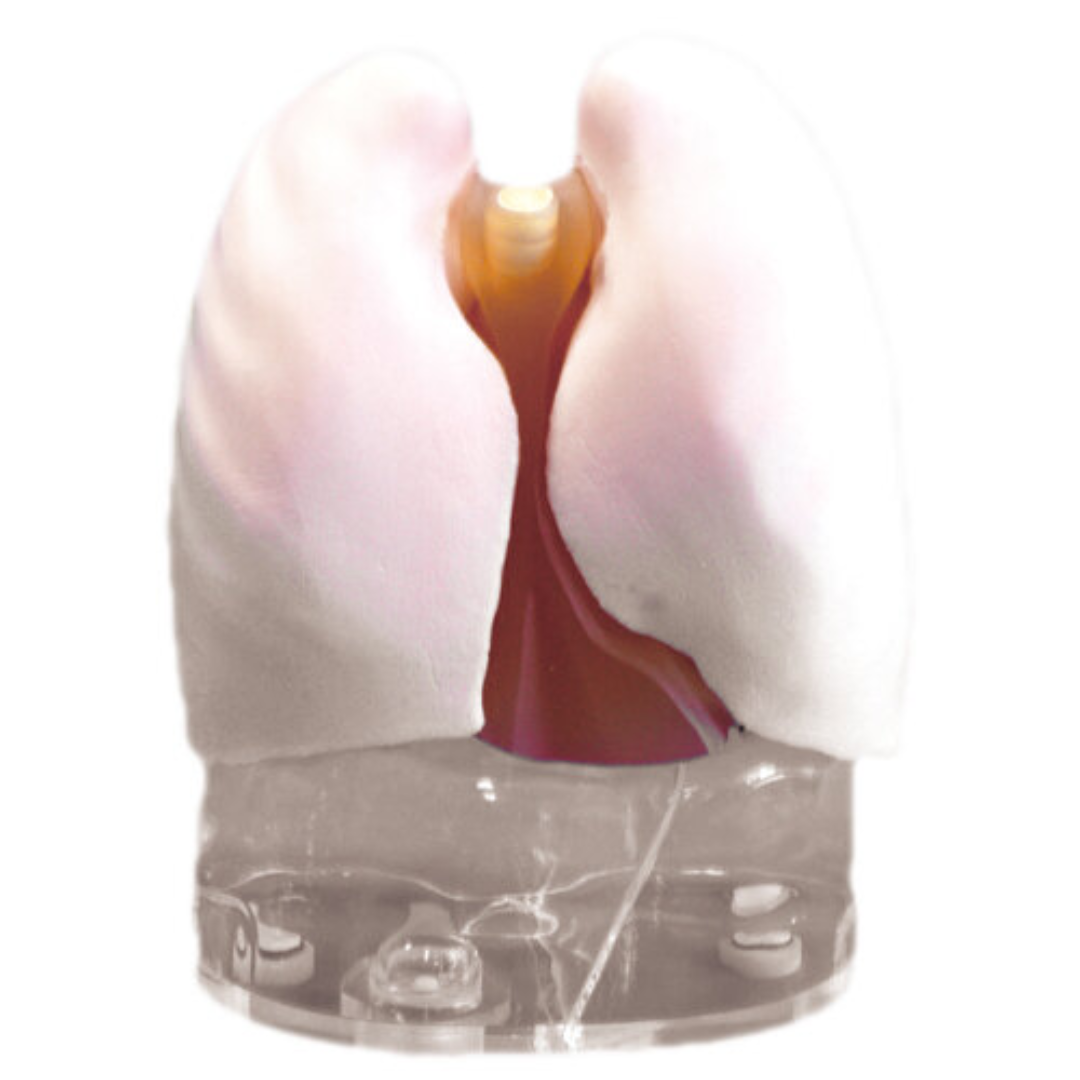 Lungs of urethane- kyoto kagaku